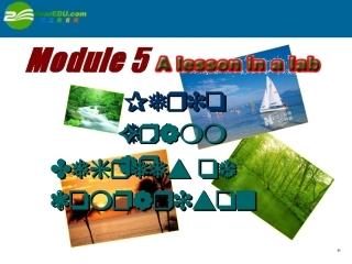 高中英语 module5 grammar课件 外研版必修1 课件