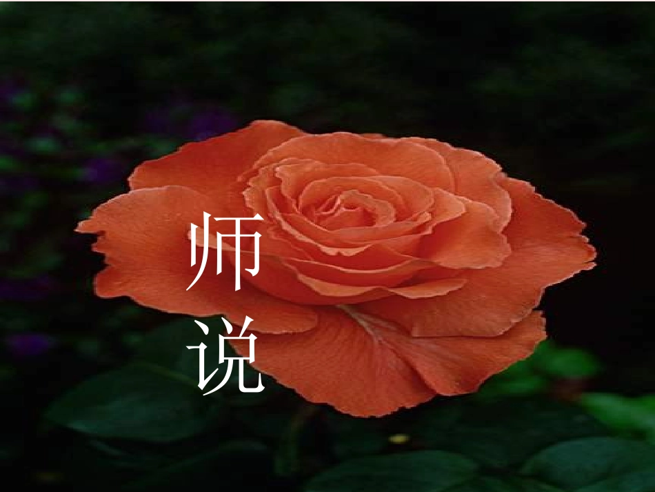 高中语文 4-17(师说)课件 粤教版必修4 课件_第1页