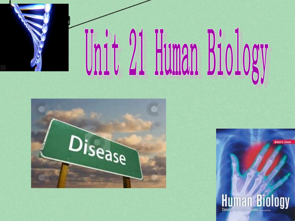 高中英语 Unit 21 lesson 3教学课件 北师大版选修7 课件_第3页