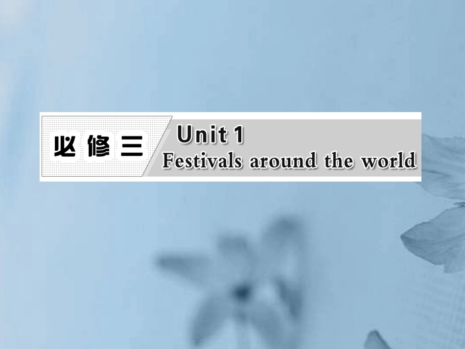 高考英语复习 Unit1 Festivals around the world专题课件 新人教版必修3 课件_第1页