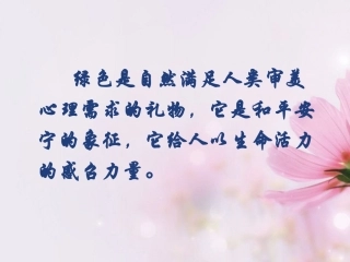 高中语文 囚绿记4课件 新人教版必修2 课件