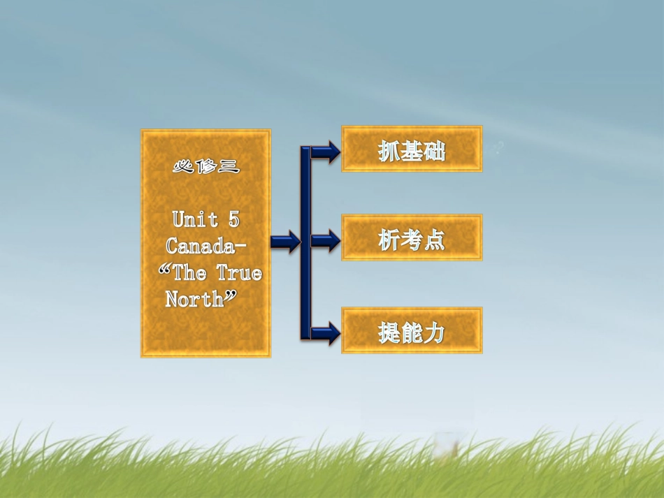高考英语复习 Unit5 Canada— The True North 专题课件 新人教版必修3 课件_第2页