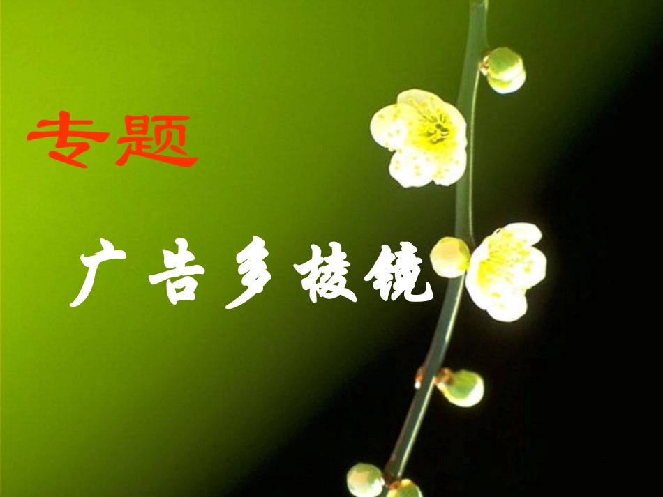 高考语文(广告多棱镜)复习课件 新人教版 课件_第1页