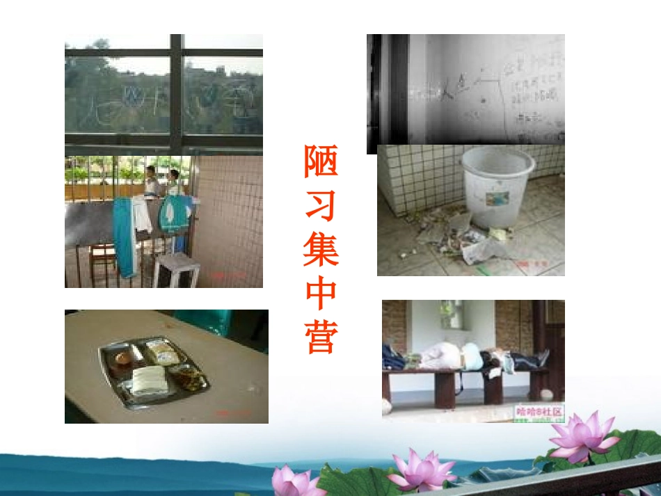 高中语文 主题班会 告别陋习，走向文明课件_第3页