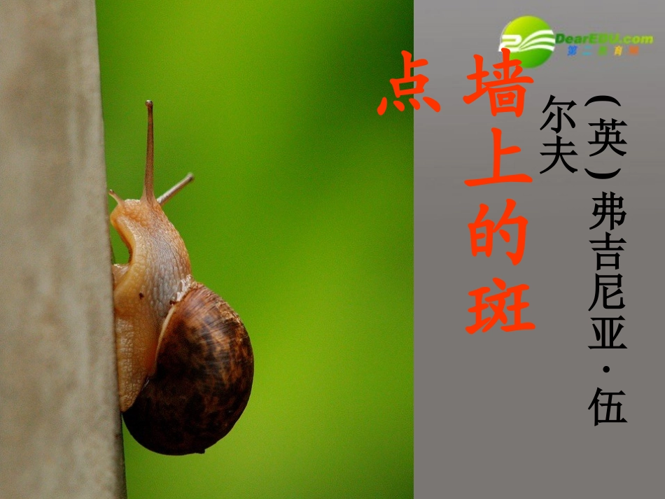 高中语文 12(墙上的斑点)课件 新人教版选修(外国小说欣赏) 课件_第1页