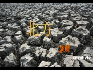 高中语文艾青(北方)苏教版必修三 试题