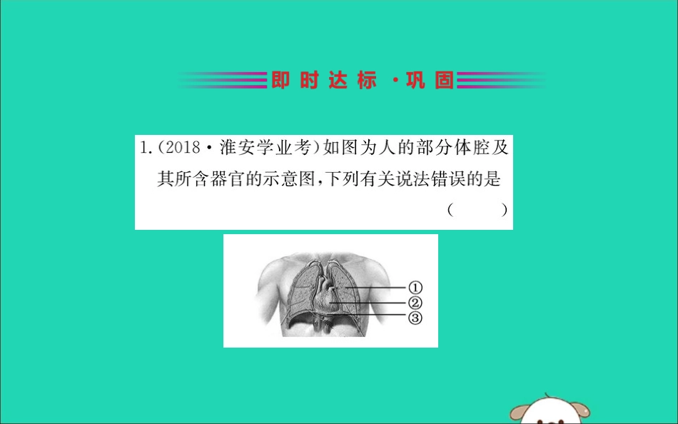 版七年级生物下册 第四单元 生物圈中的人 第四章 人体内物质的运输 3 输送血液的泵─心脏训练课件 新人教版 课件_第2页