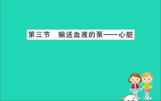 版七年级生物下册 第四单元 生物圈中的人 第四章 人体内物质的运输 3 输送血液的泵─心脏训练课件 新人教版 课件