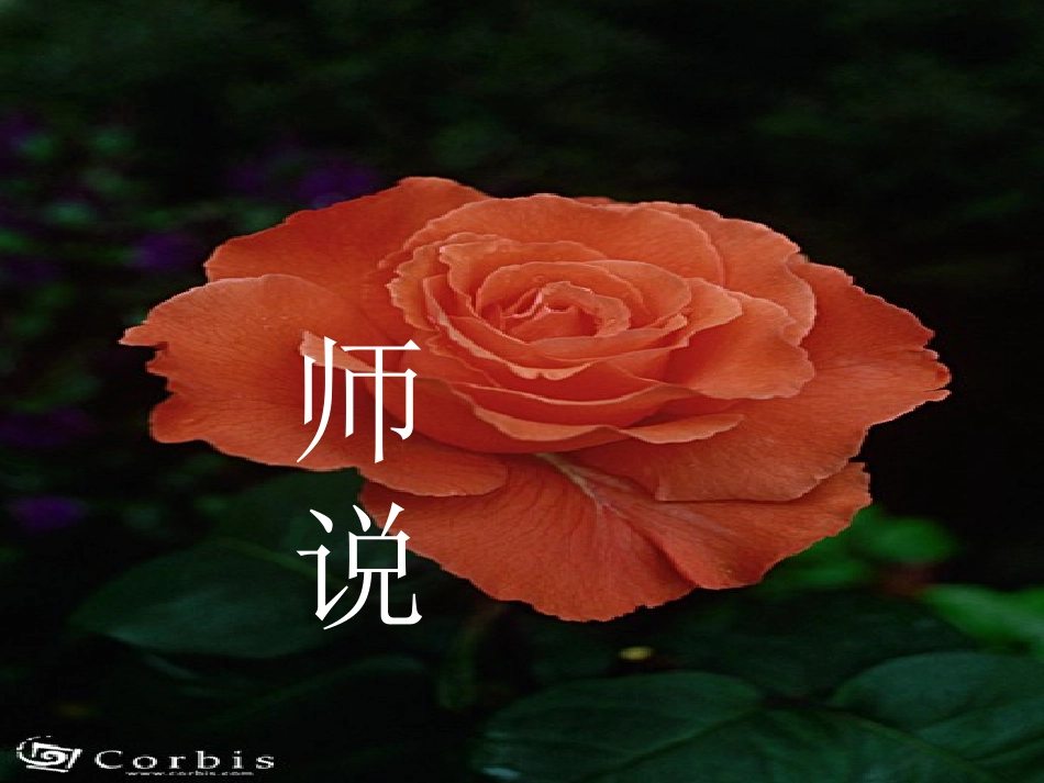 高一语文下册(师说)课件 人教版第二册 课件_第1页