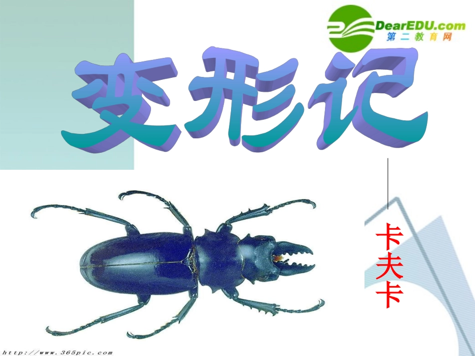 高中语文 311(变形记)课件 粤教版必修4 课件_第1页