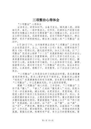 三项整治心得体会