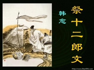 祭十二郎文 人教试验修订本1 课件
