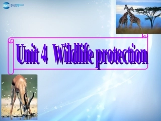 高中英语 Unit 4 Earthquake(第1课时)课件 新人教版必修2 课件