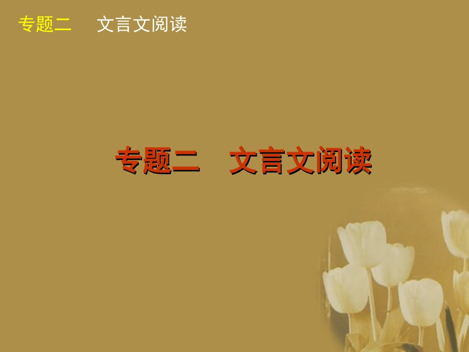 湖南省高考语文二轮复习 文言文阅读精品课件_第1页