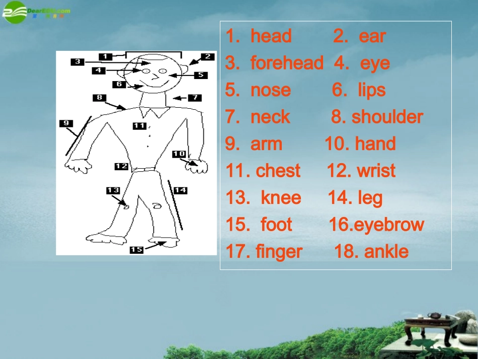 高中英语 Module 3Listening and vocabulary课件 外研版必修4 课件_第3页
