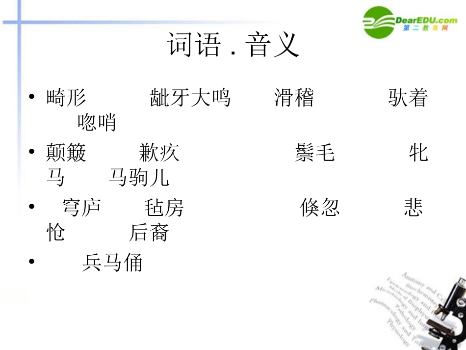 高中语文 第一单元之(巩乃斯的马)课件 粤教版必修3 课件_第1页