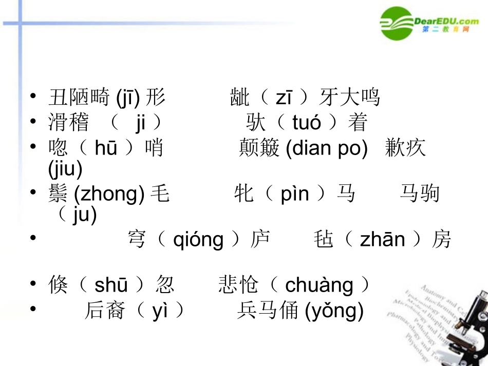 高中语文 第一单元之(巩乃斯的马)课件 粤教版必修3 课件_第3页