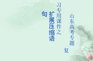 高考语文专题复习 扩展语句课件 新人教版 课件