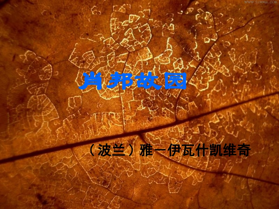 高中语文肖邦故园课件 苏教版 必修3 课件_第1页