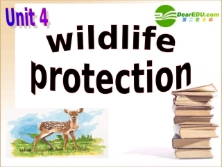 高中英语 wildlife protection reading课件 新人教版必修2 课件