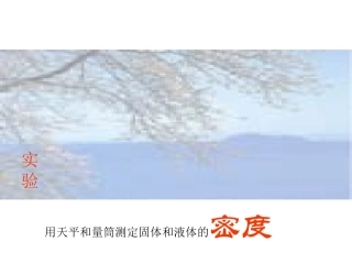 用天平和量筒测定固体和液体的密度 初三物理电学、力学、光物理实验集锦swf课件 人教版