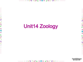 高三英语Unit14 Zoology课件 新课标 人教版 课件