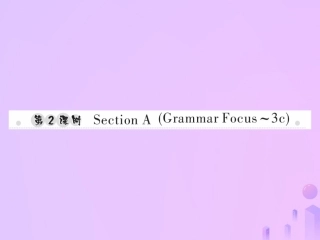 秋七年级英语上册 Unit 5 Do you have a soccer ball(第2课时)Section A(Grammar Focus 3c)习题课件 (新版)人教新目标版 课件