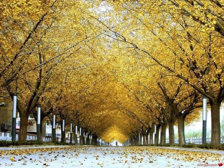 高中语文 作文教学新材料议论文的拟题与开头课件 新人教版 课件_第1页