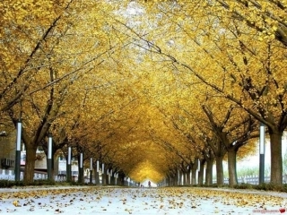 高中语文 作文教学新材料议论文的拟题与开头课件 新人教版 课件