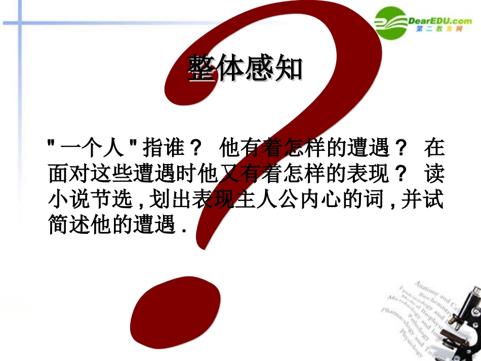 高中语文 第二专题(一个人的遭遇)课件(2) 苏教版必修2 课件_第3页