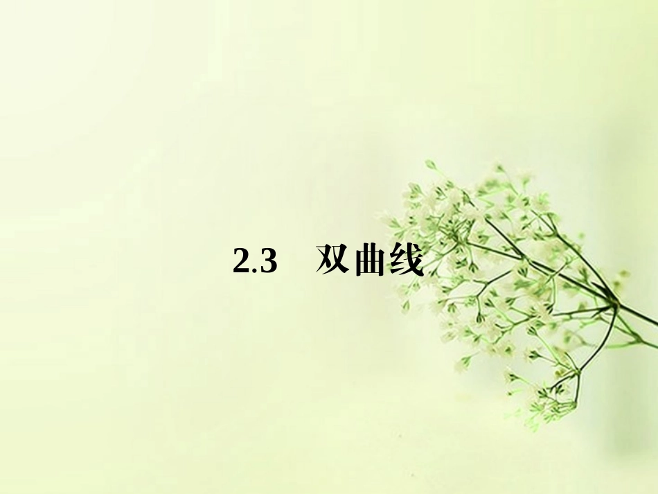 高中数学 2.3.1双曲线其标准方程同步测控课件 新人教A版选修2-1 课件_第1页