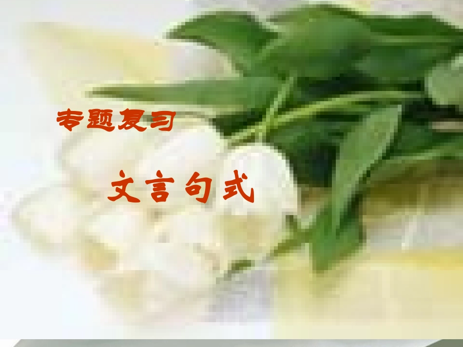 高考语文 文言文句式专题课件_第1页