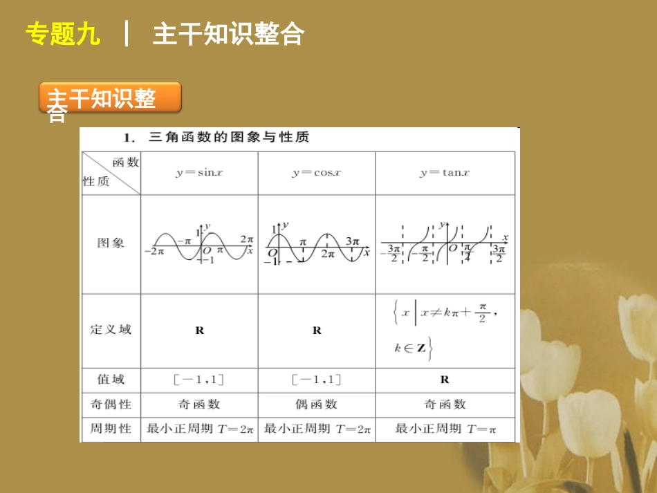 江苏省高考数学二轮复习 专题9 三角函数的图象和性质精品课件_第2页