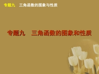 江苏省高考数学二轮复习 专题9 三角函数的图象和性质精品课件