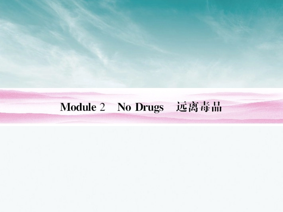 高考英语 Module 2　No Drugs总复习课件 外研版必修2 课件_第1页