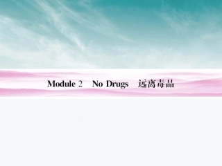 高考英语 Module 2　No Drugs总复习课件 外研版必修2 课件