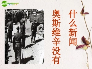 高中语文(奥斯维辛没有什么新闻)课件4 新人教版必修1 课件