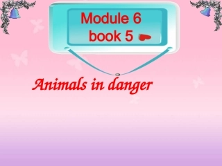 高中英语 Module 6 Reading2精品课件 外研版必修5 课件