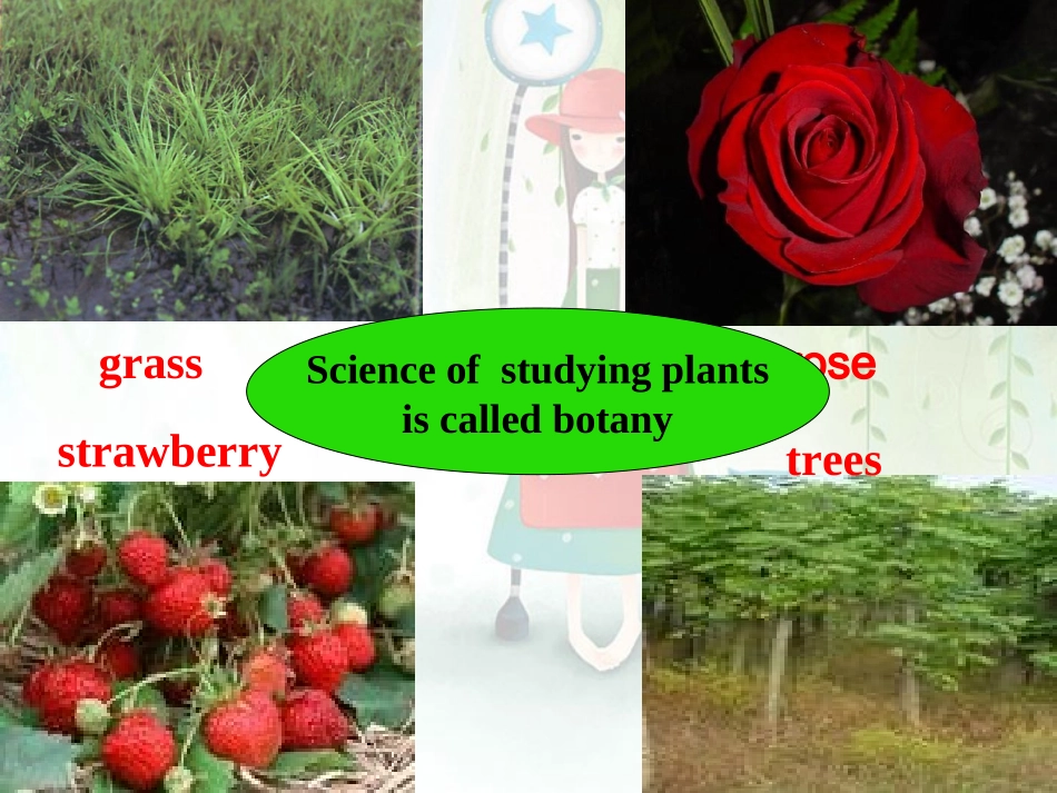 江苏省高三英语Unit4精心设计的课件 新课标 人教版 课件_第2页