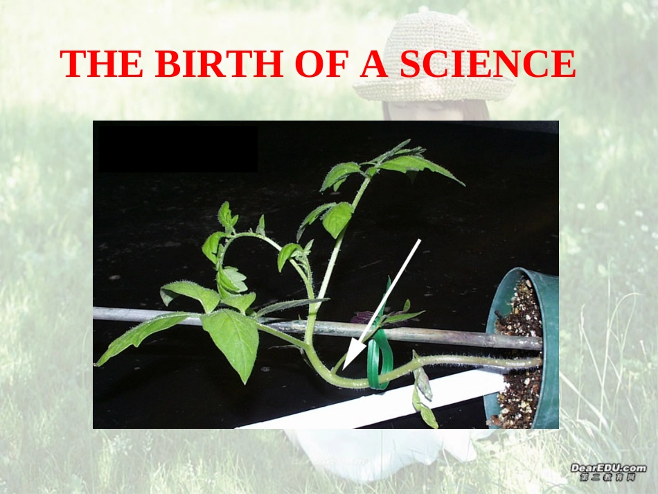 江苏省高三英语Unit4精心设计的课件 新课标 人教版 课件_第3页