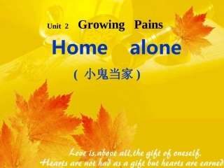 牛津英语Unit2 ReadingHome Alone 课件