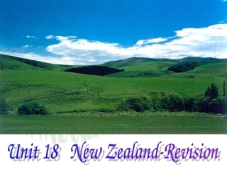 高三英语第一轮复习高一Unit18 New Zealand 试题
