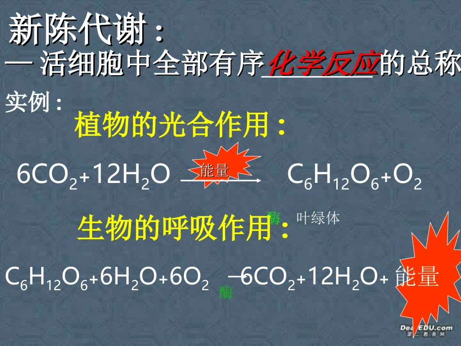 第二节 新陈代谢与ＡＴＰ 高二生物第三章 生物的新陈代谢课件一[整理四课时]新课标 高二生物第三章 生物的新陈代谢课件一[整理四课时]新课标_第2页