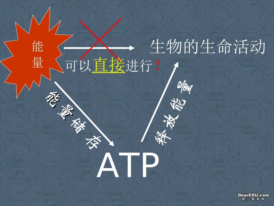 第二节 新陈代谢与ＡＴＰ 高二生物第三章 生物的新陈代谢课件一[整理四课时]新课标 高二生物第三章 生物的新陈代谢课件一[整理四课时]新课标_第3页