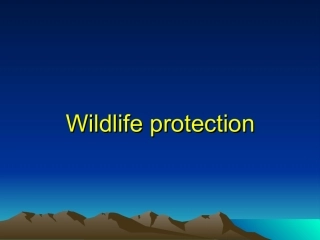 高中英语必修2Unit4 Wildlife protection课件