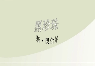 高中语文 311(黑珍珠)课件 语文版必修1 课件