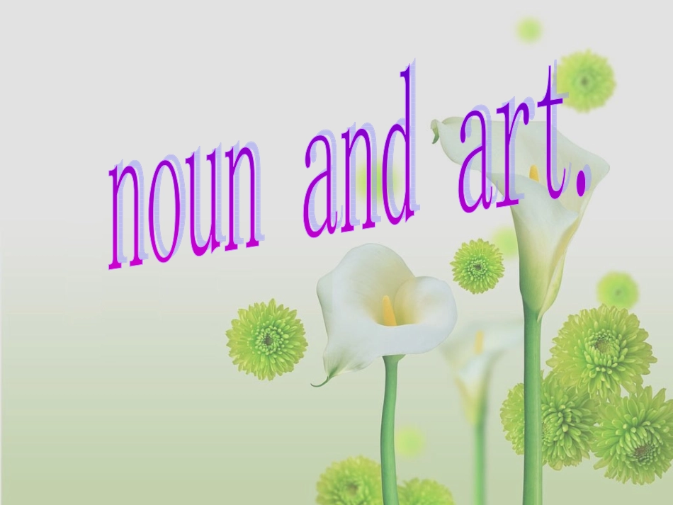 高三英语(高考英语语法：名词与冠词)课件_第1页