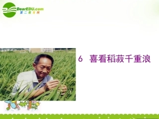 高中语文 第六课(喜看稻菽千重浪)课件 粤教版必修5 课件