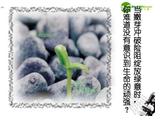 高中语文 第一单元第3课(囚绿记)课件 新人教版 课件