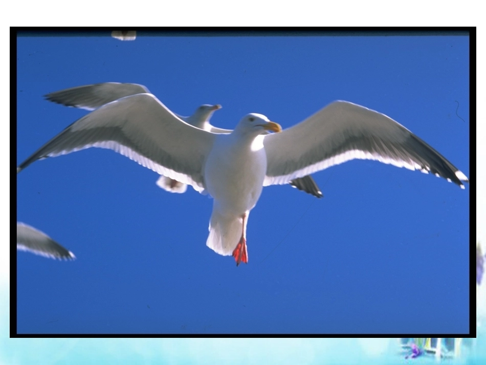 高中数学 132函数的奇偶性课件2 新人教A版必修1 课件_第3页